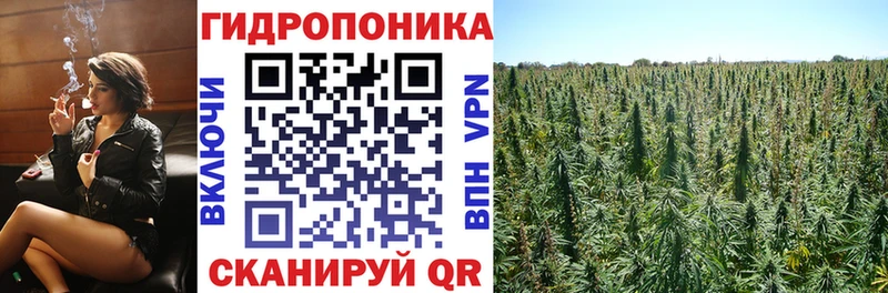 блэк спрут ССЫЛКА  Хабаровск  Канабис SATIVA & INDICA 